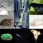 نذر الموت في ثقافات العالم