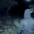 رعب فوق الشجرة