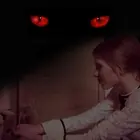 ليلة مع القط المريب