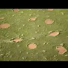 دوائر الجن في ناميبيا