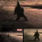 العفريت القزم : الحقيقة وراء الأسطورة