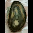 حجر السيدة العذراء