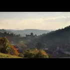 غابات مسكونة 7: هويا باكيو