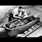 لعنة الفراعنة