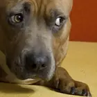 أمور لا ينبغي لها أن تحصل