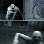 حقيقة المسخ الزاحف THE RAKE