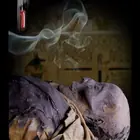 The Myth of Pharaonic Mercury