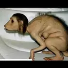 حقيقة تحول الفتاة العمانية إلى مسخ