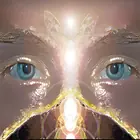 طاقة الأورغون : أبحاث ويلهلم رايش