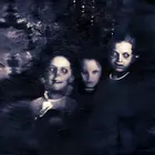 حقيقة إختفاء عائلة الجنيدي