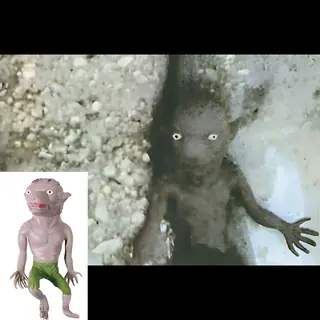 حقيقة وحش كورنيش الدوحة