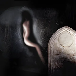 الموت حتمية المصير