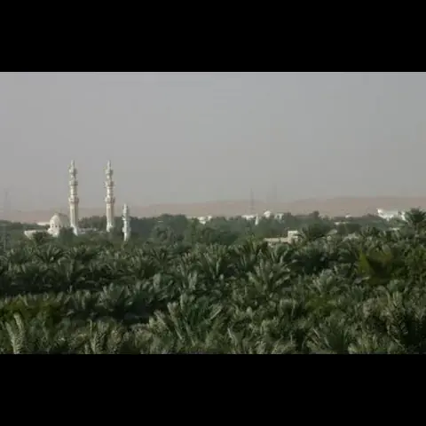 مشهد من أطراف مدينة العين في الإمارات العربية المتحدة