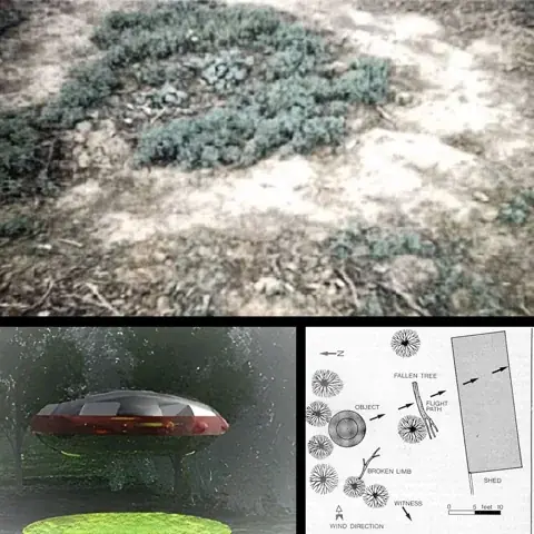 حادثة ديلفوس 1971 - طبق طائر