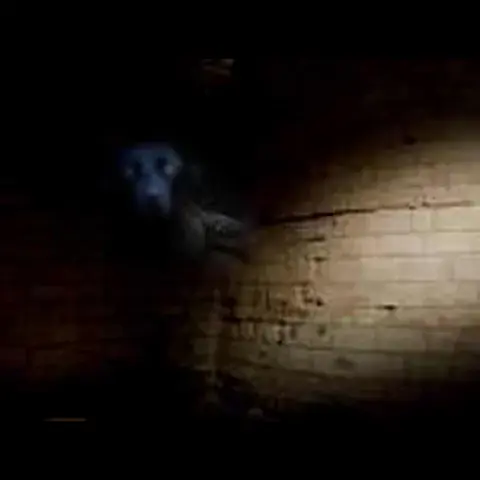 شبح سور المقبرة