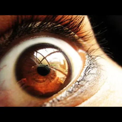 دماء وأنفاس وأصوات