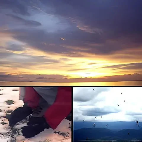 أشياء غريبة تسقط من السماء