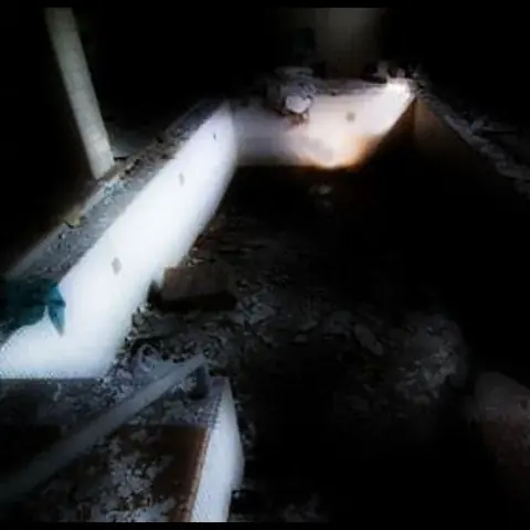 في البحث عن الجن