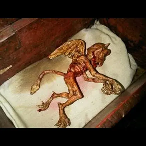 مخلوق مزعوم كان داخل صندوق في إحدى محلات بيع الأحجار الكريمة في أندونيسيا