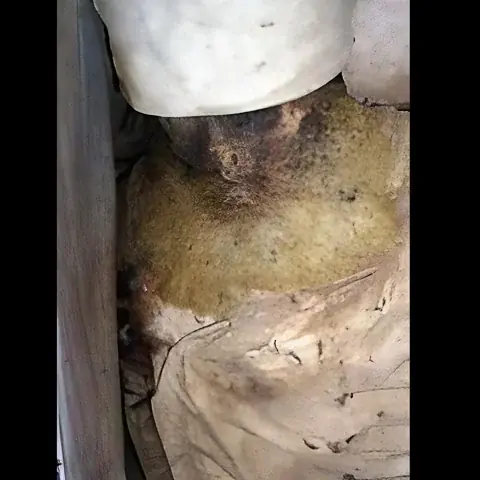 جثمان محفوظ لشيخ درزي يثير ضجة