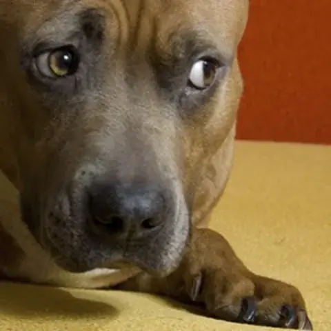 أمور لا ينبغي لها أن تحصل