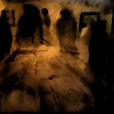 كيف تتخلص من الطائنات الظلية