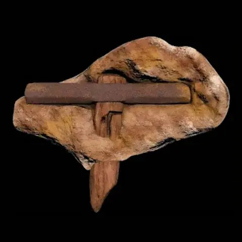 المطرقة الأحفورية في كينغودي : لغز أثري أم وهم زمني ؟