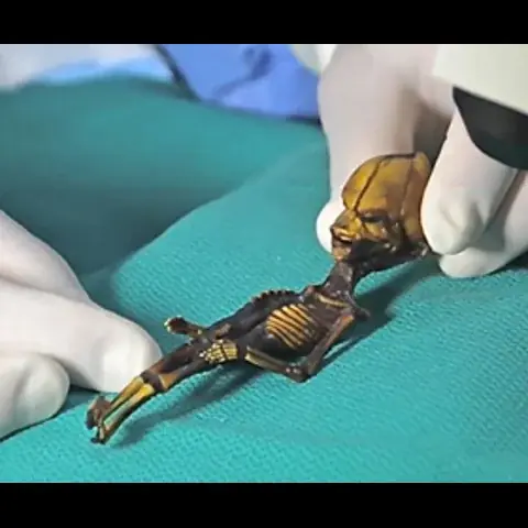 سايريوس : فيلم وثائقي يكشف هوية مخلوق تشيلي الغريب