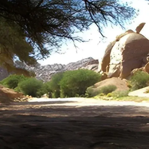 تحليل تجربة : رحلة تخييم في وادي شعيب