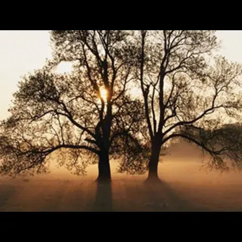 تستحم عارية تحت شجرة