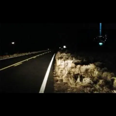 جسم طائر مجهول يهبط على جانب طريق سريع في الكويت