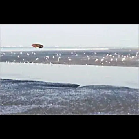 يوفو في سماء المنطقة الحرة في الكويت