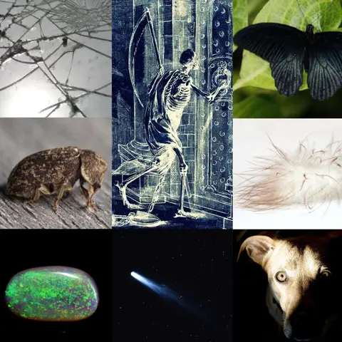 خرافات حول اقتراب الموت