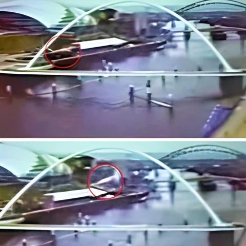 جسم طائر مجهول يحلق أمام عدسة كاميرا البي بي سي