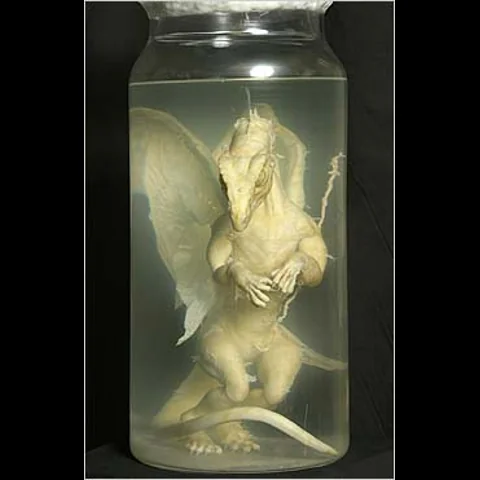 إناء فرخ التنين