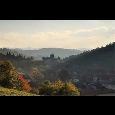 غابات مسكونة 7: هويا باكيو