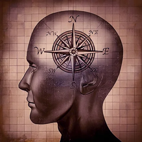 حاسة استشعار الحقول المغناطيسية