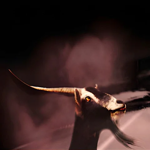 الماعز الشيطاني - قصة قصيرة