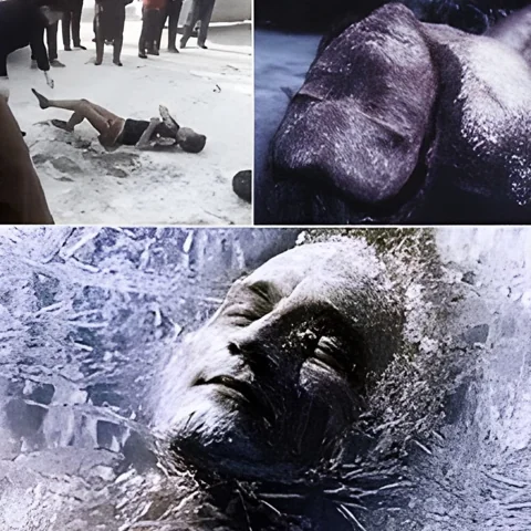 التجمد حتى الموت والتعري