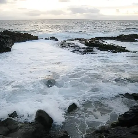 هل أتى ماء الأرض من المذنبات ؟