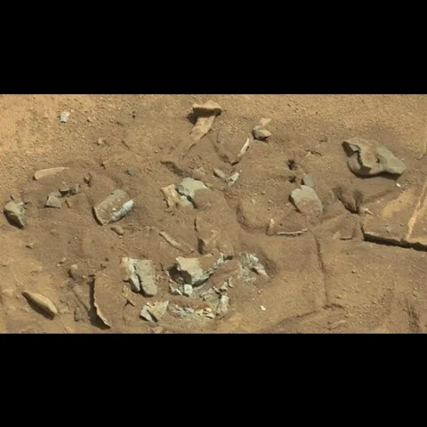 علماء يحللون صورة "عظمة فخذ" ظهرت على المريخ