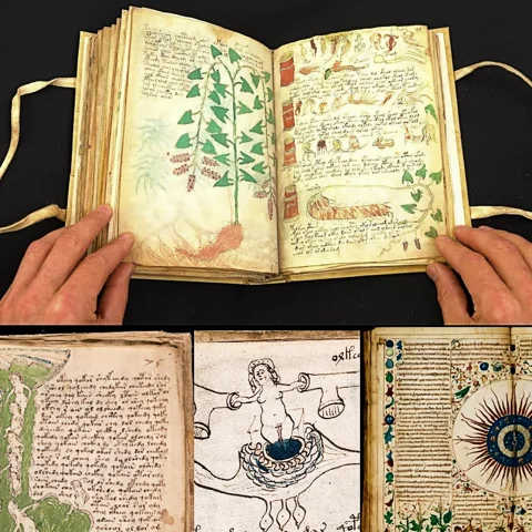 مخطوطة فوينيتش : اللغز الذي هزم اللغويين والتقنيين على حد سواء