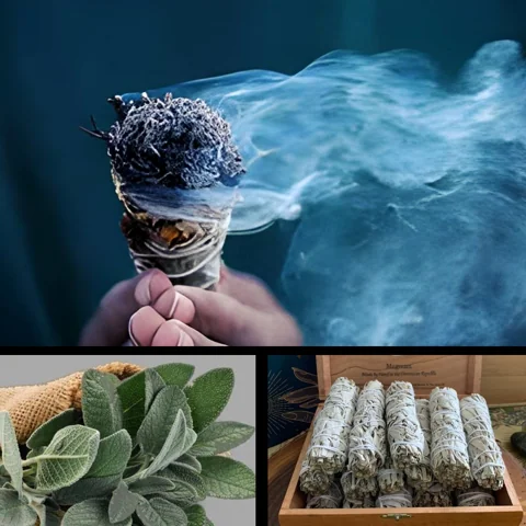 المريمية : طقس لطرد الأرواح وتطهير الأماكن المسكونة