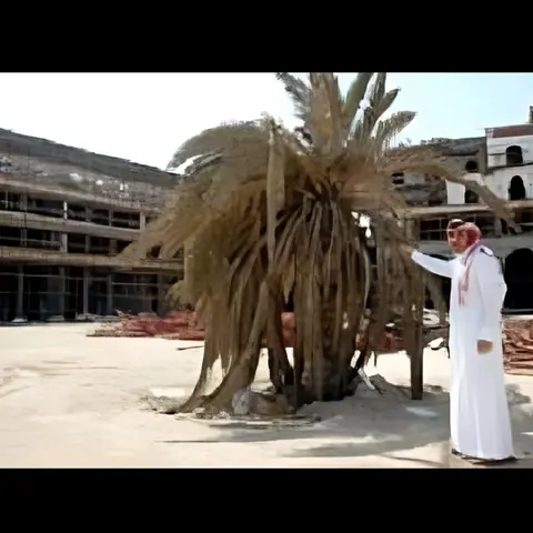 نخلة مسكونة بالجن