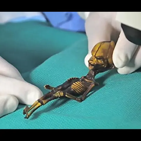 سايريوس : فيلم وثائقي يكشف هوية مخلوق تشيلي الغريب