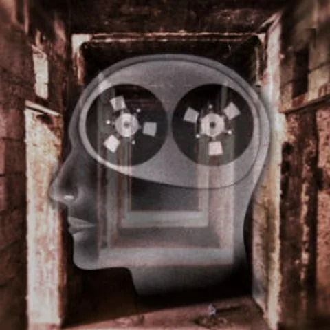 فرضية المسجل الحجري وظاهرة السكنى المقيمة