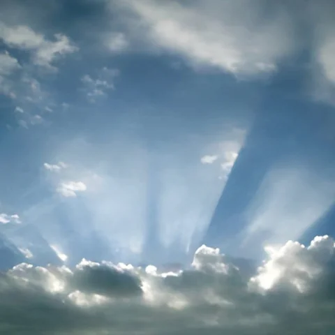 طفل التقى بجدته المتوفاة