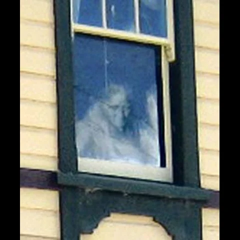 شبح النافذة - نيوزيلندا