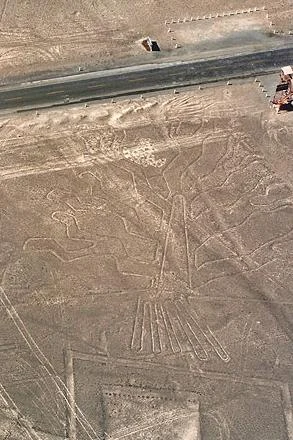 شجرة هوارنجو في خطوط نازكا