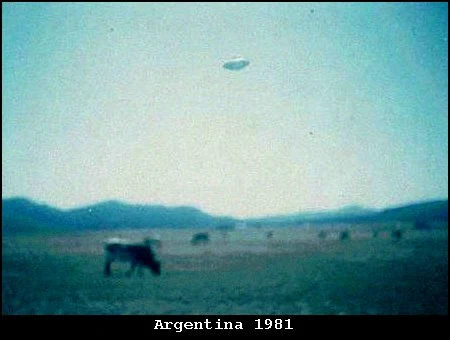 1981 - الأرجنتين